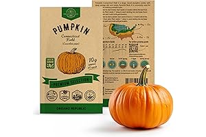 Pumpkin Connecticut Field Seeds Pack - Heirloom Vegetable Seeds