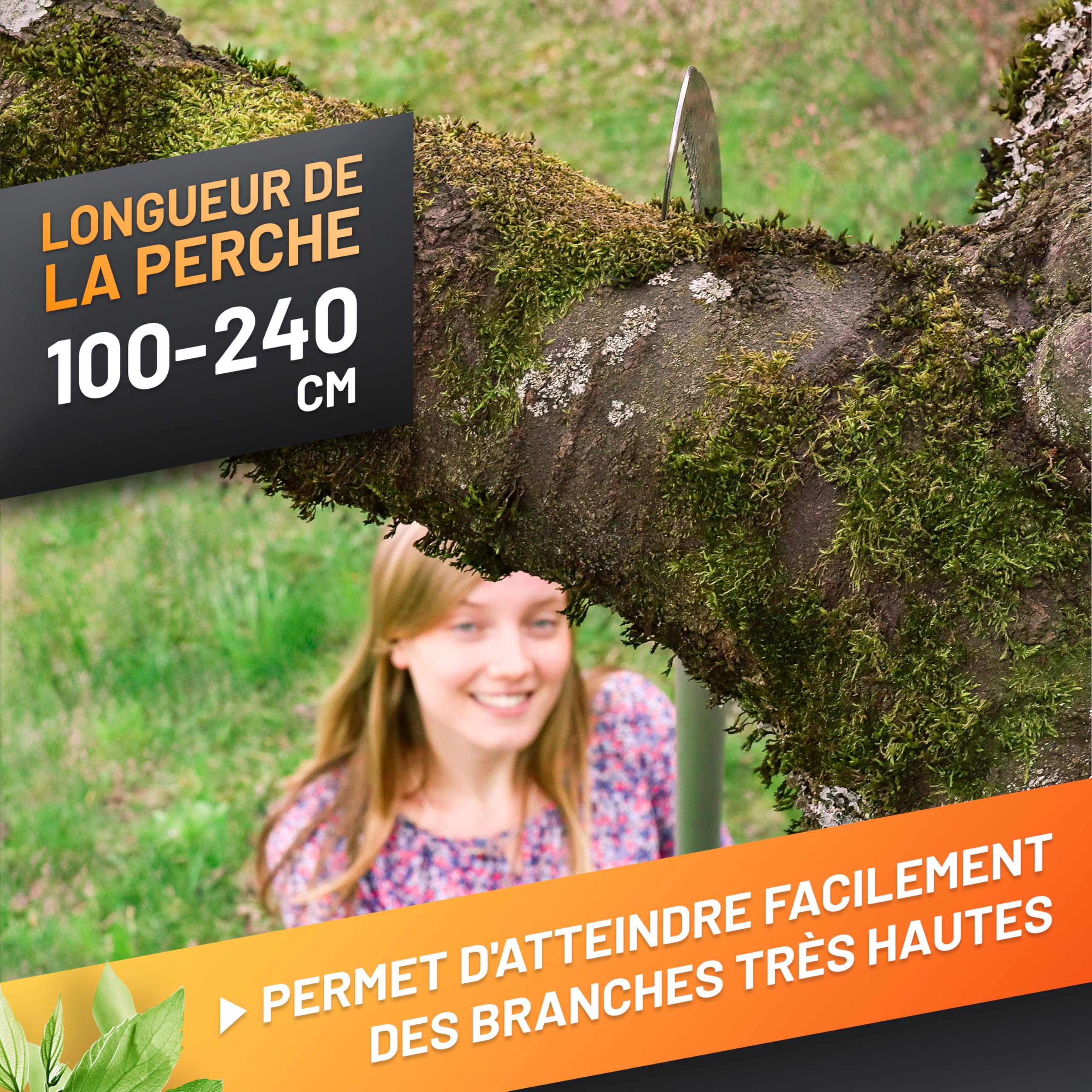 GRÜNTEK Scie Élagage Télescopique sur Perche à Elaguer Coupe Branches 100-240 cm compatible avec Echenilloir GRÜNTEK (art. B096Y5T5VT)