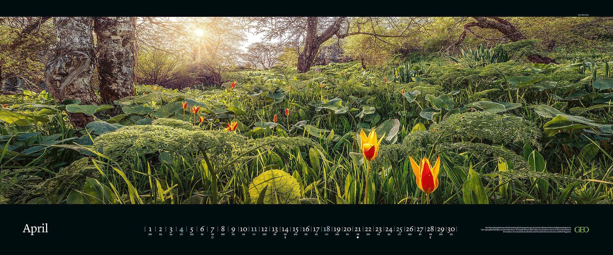 GEO Panorama: Orte der Stille 2027: XXL Wandkalender 120x50 cm mit 12 Naturfotografien, deutschem Kalendarium und Spiralbindung | XXL Wandkalender 120x50 cm mit 12 Naturfotografien, deutschem Kalendarium und Spiralbindung