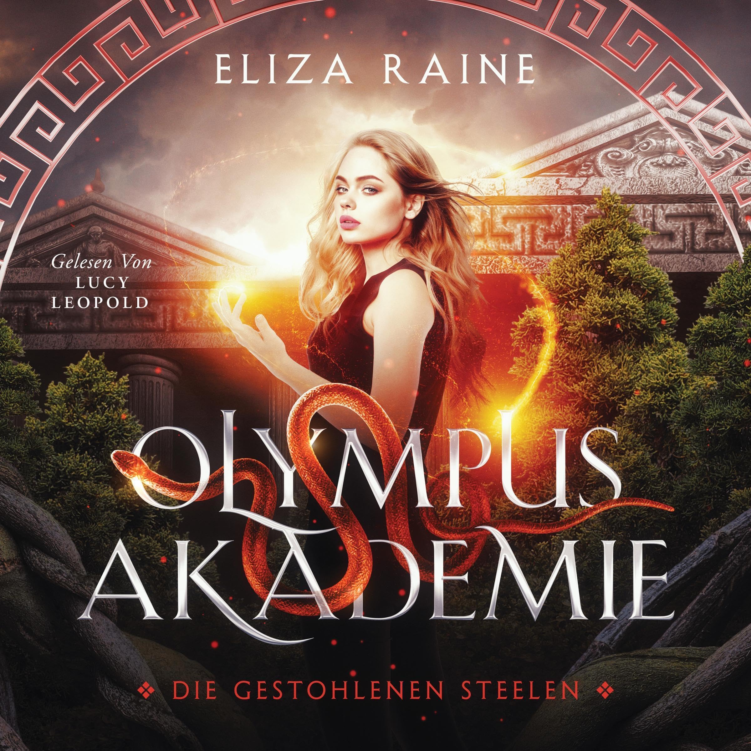 Cover art for Die gestohlenen Seelen