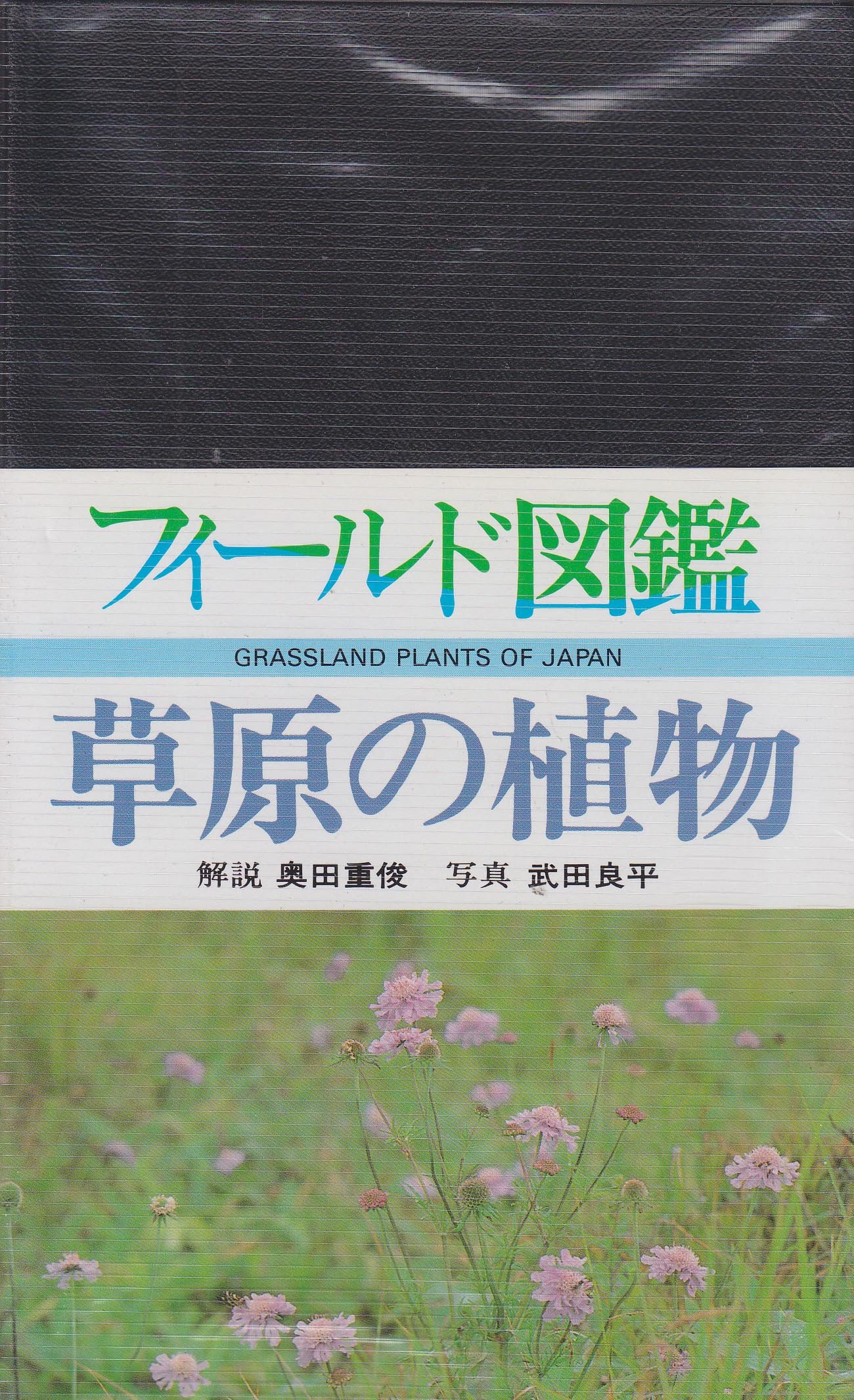 広島県植物誌 広島市植物公園ブログ: 日本随一のコレクション「ゼラニウム展