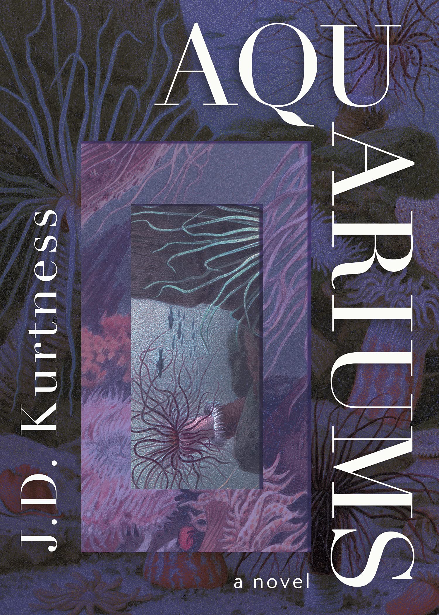 Buy Aquariums — BookShops.in