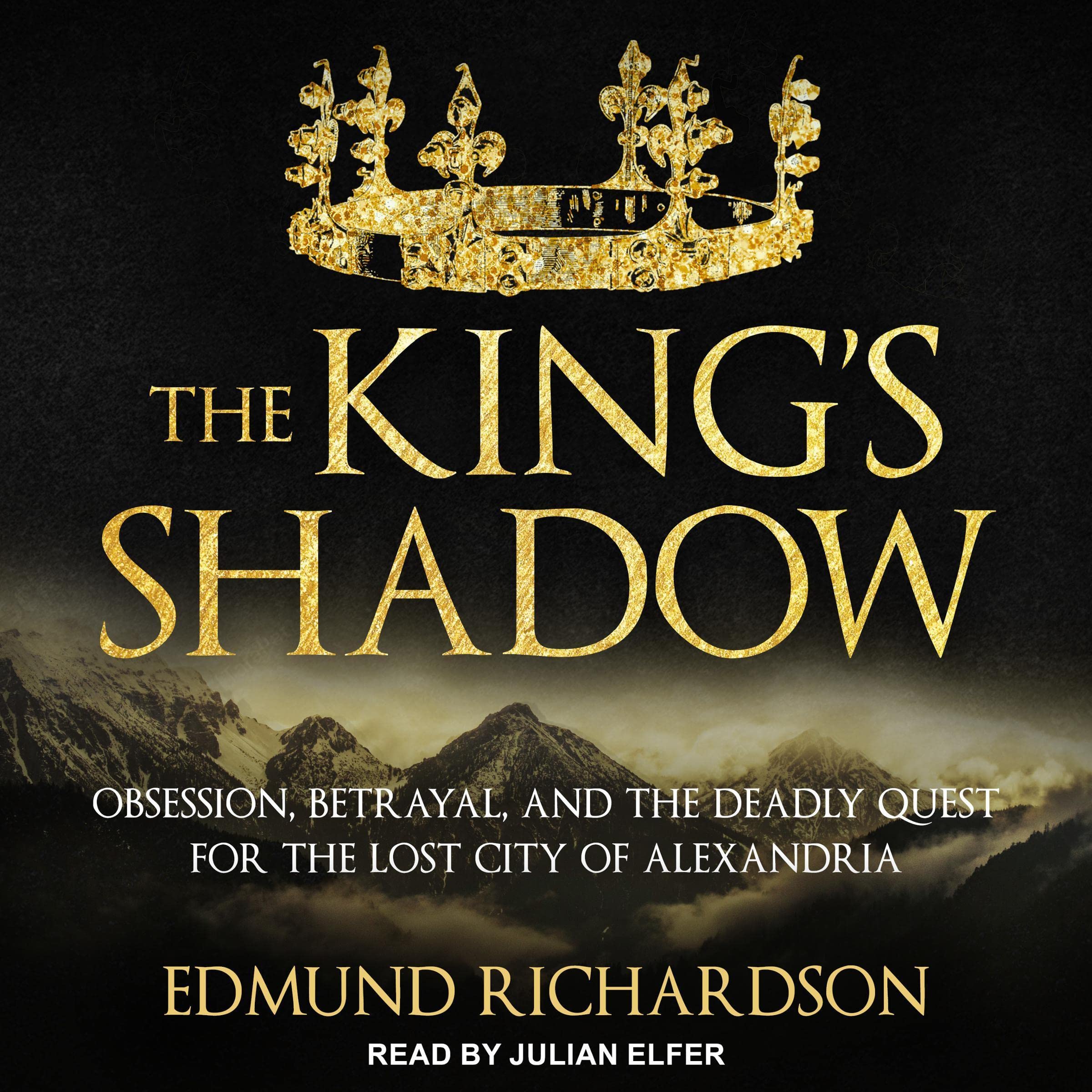 Cover art for The King's Shadow
