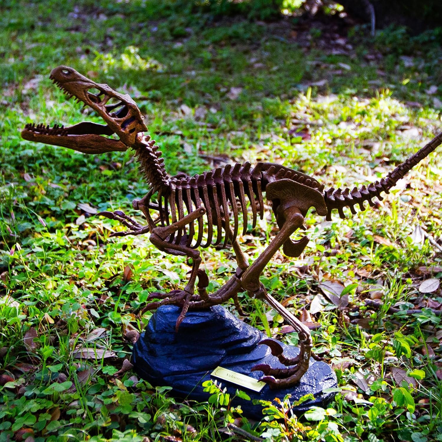 Geoworld Velociraptor Skeleton Model Kit - Scale Replica Velociraptor Skeleton - Build, Learn & Play STEM Toy for Kids Ages 6+