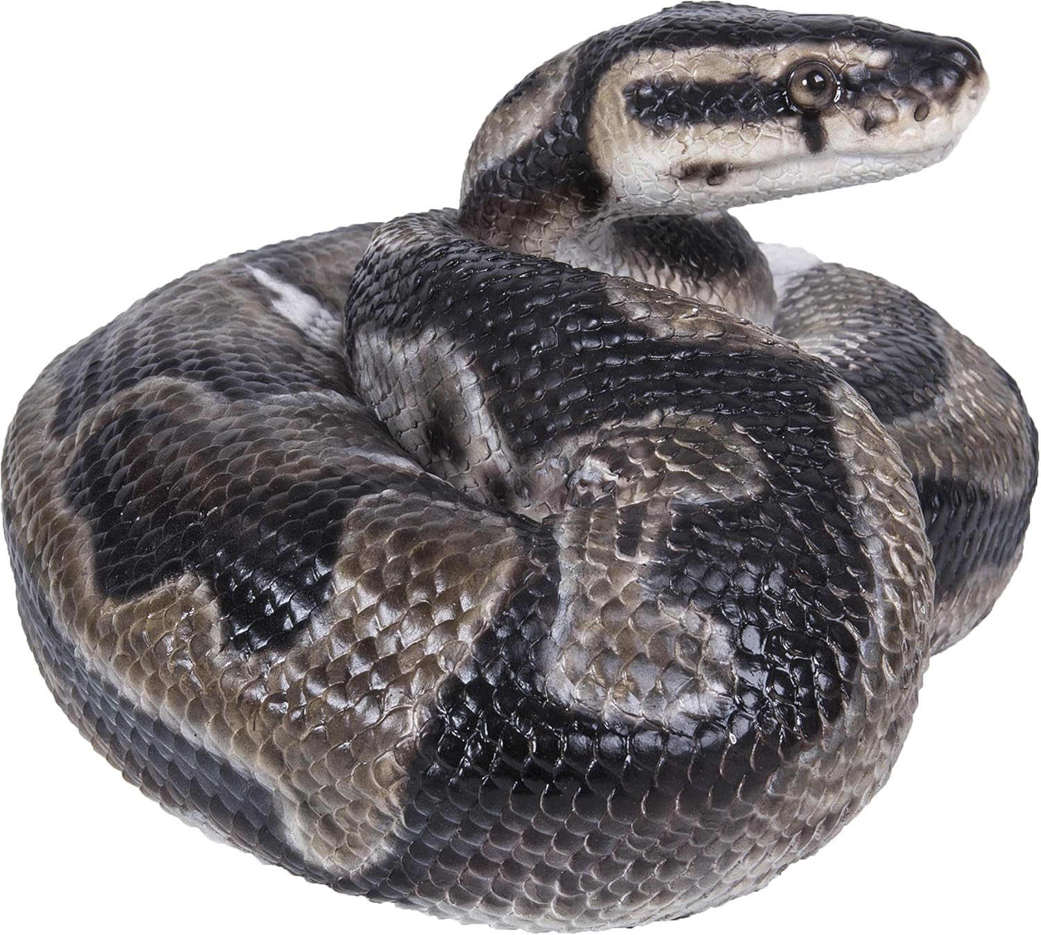 Hi-Line Gift 87680-B Regius Ball Python Statue