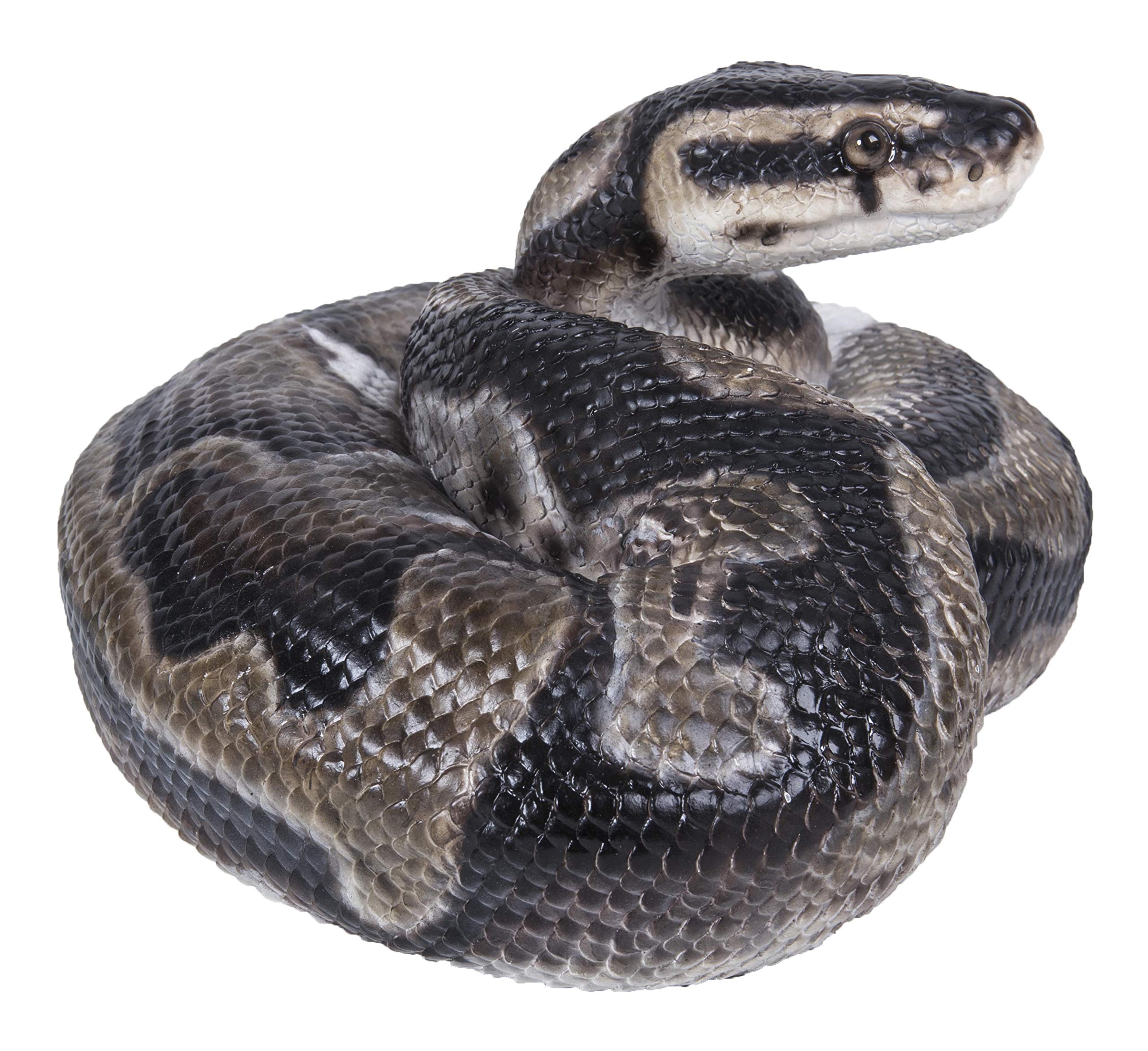 Amazon.com : Hi-Line Gift 87680-B Regius Ball Python Statue