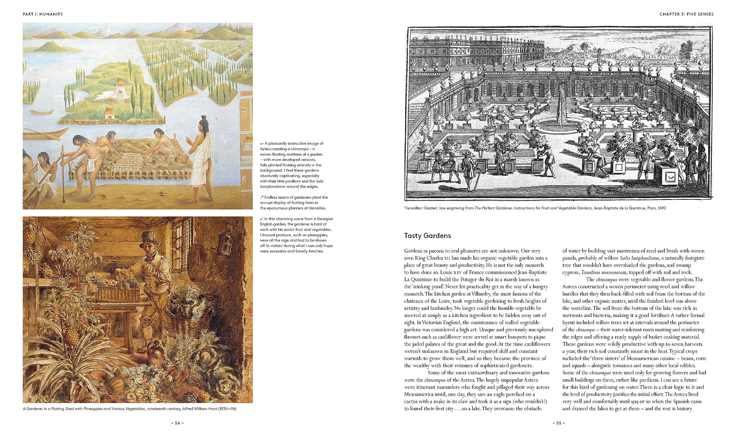 What Makes a Garden: A Considered Approach to Garden Design