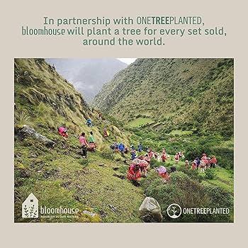 Amazon.com | Bloomhouse - Oprah's Favorite Things