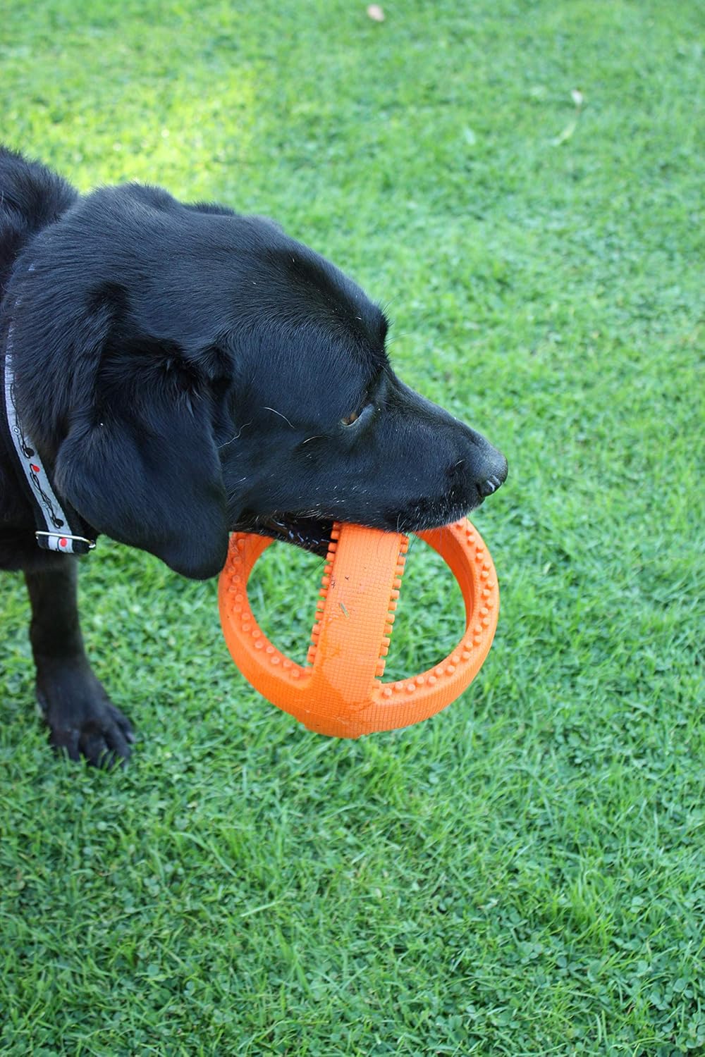 Happy Pet Cultivator Football Dog Puppy Toy Durable Strong Bouncy Fun Interactive Chewing Playing Fetch Retrieve for Small Medium Large Breeds 18cm