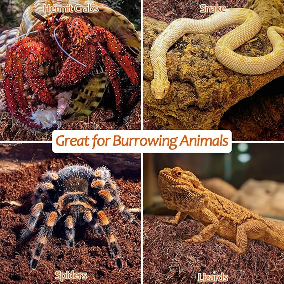 Riare Coconut Fibre Substrate 2 Pack, Compressed Coco Husk Reptile Bedding