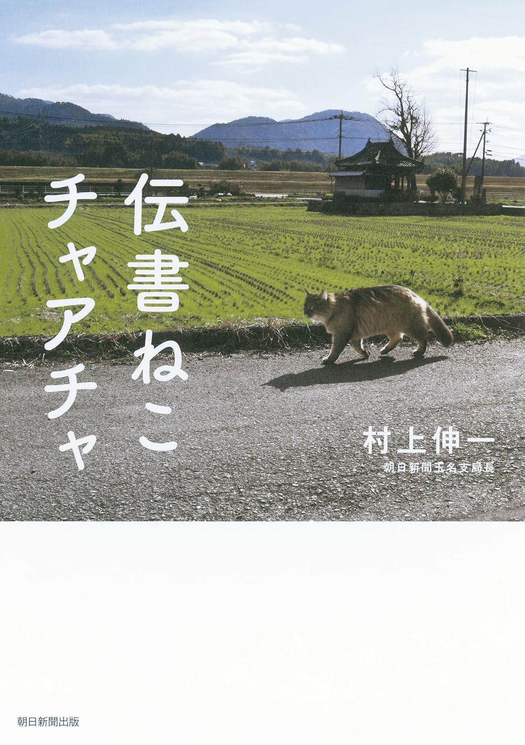 伝書ねこ チャアチャ