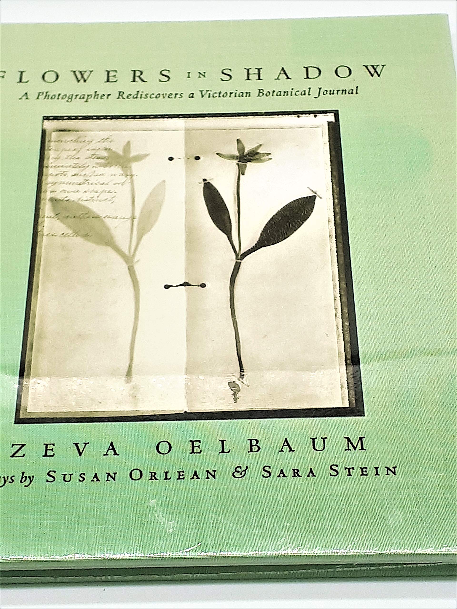 Amazon.co.jp: Zeva Oelbaum: 本、バイオグラフィー、最新アップデート