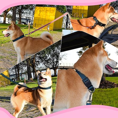 Miniatura 6 de Pawhuggies Juego de collar y correa de perro rosa, collar ajustable de fibra de bambú transpirable y correa de perro de 4 pies para perros medianos