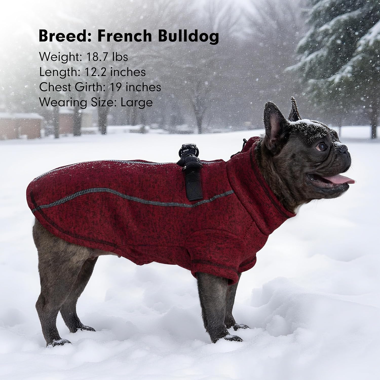 Dog Jackets for Small Dogs Boy, Reflective Fleece Dog Sweater Coat with D-Ring Zipper Up Warm Winter Cold Weather Doggy Clothes, Burgundy Medium