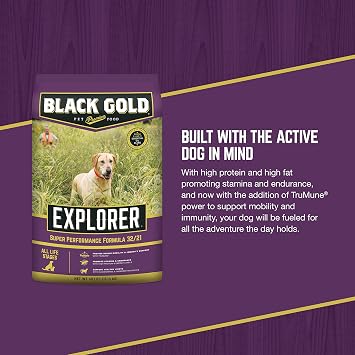 Black Gold Explorer Super Performance Recipe 32/21 Dry Dog Food