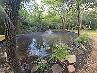 Review Image by Dan P.