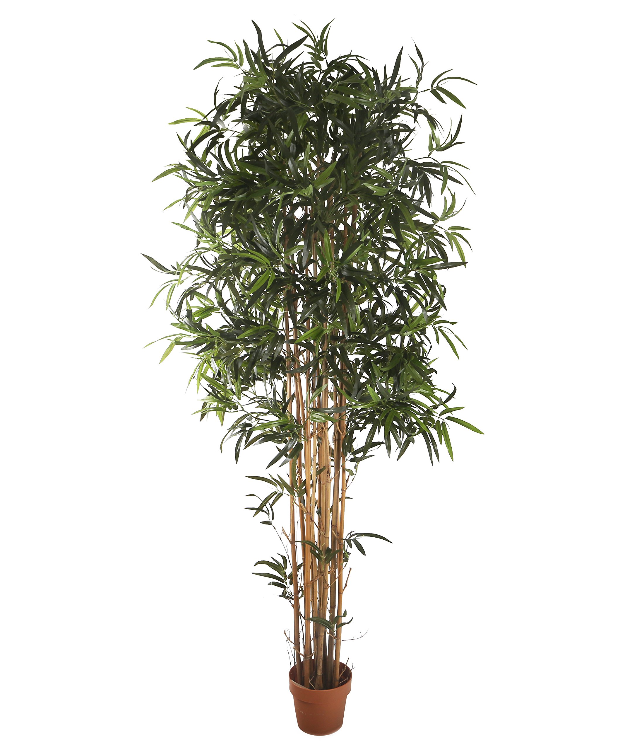 Buy Closer2Nature Artificial 6ft Golden Bamboo Tree, Indoor and Outdoor