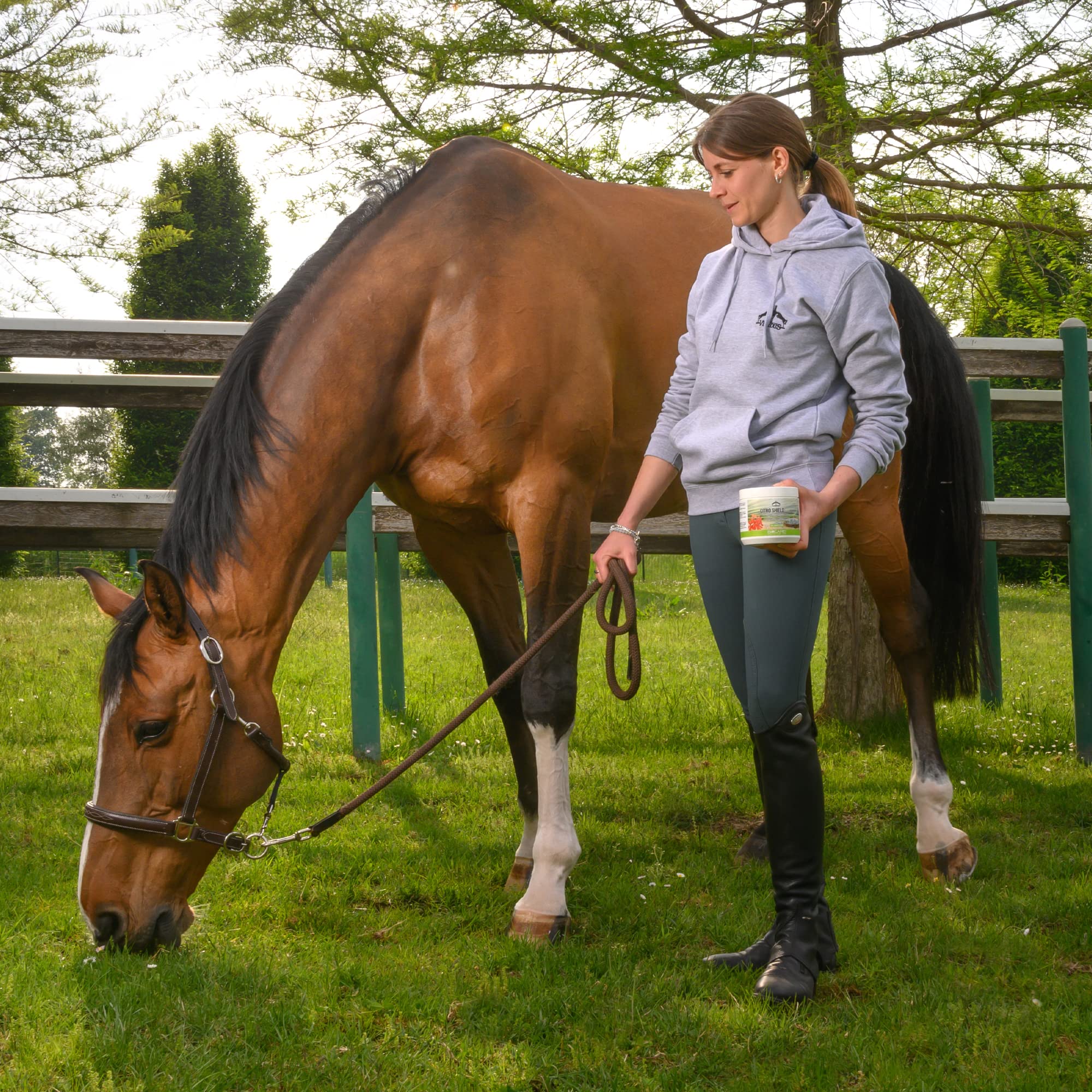 Veredus, Gel Citro Shield Gel con acción protectora de citronela y geranio, diseñado para zonas sensibles y delicadas del caballo - 1 bote de 500 ml