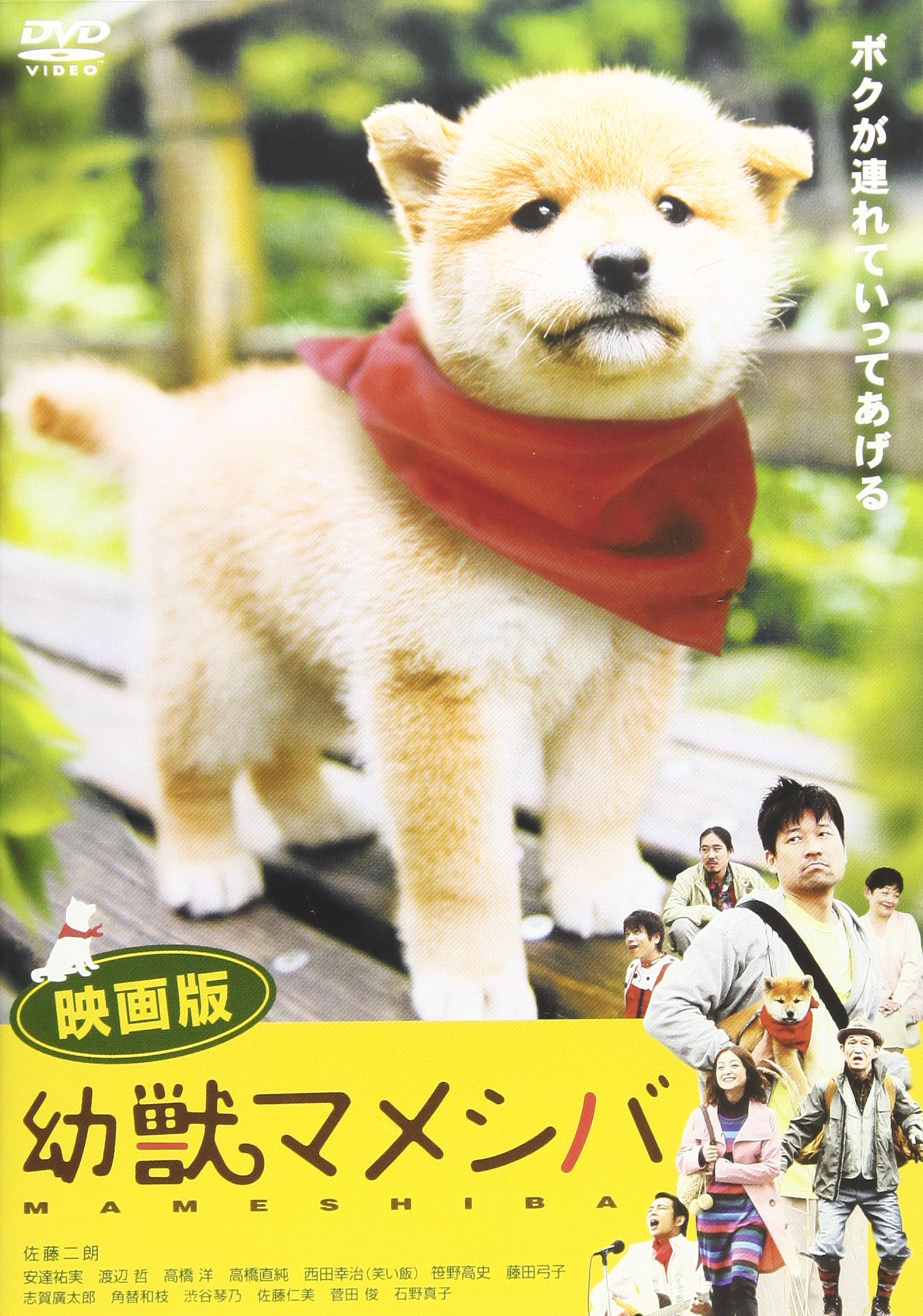 幼獣マメシバ 映画版[DVD]