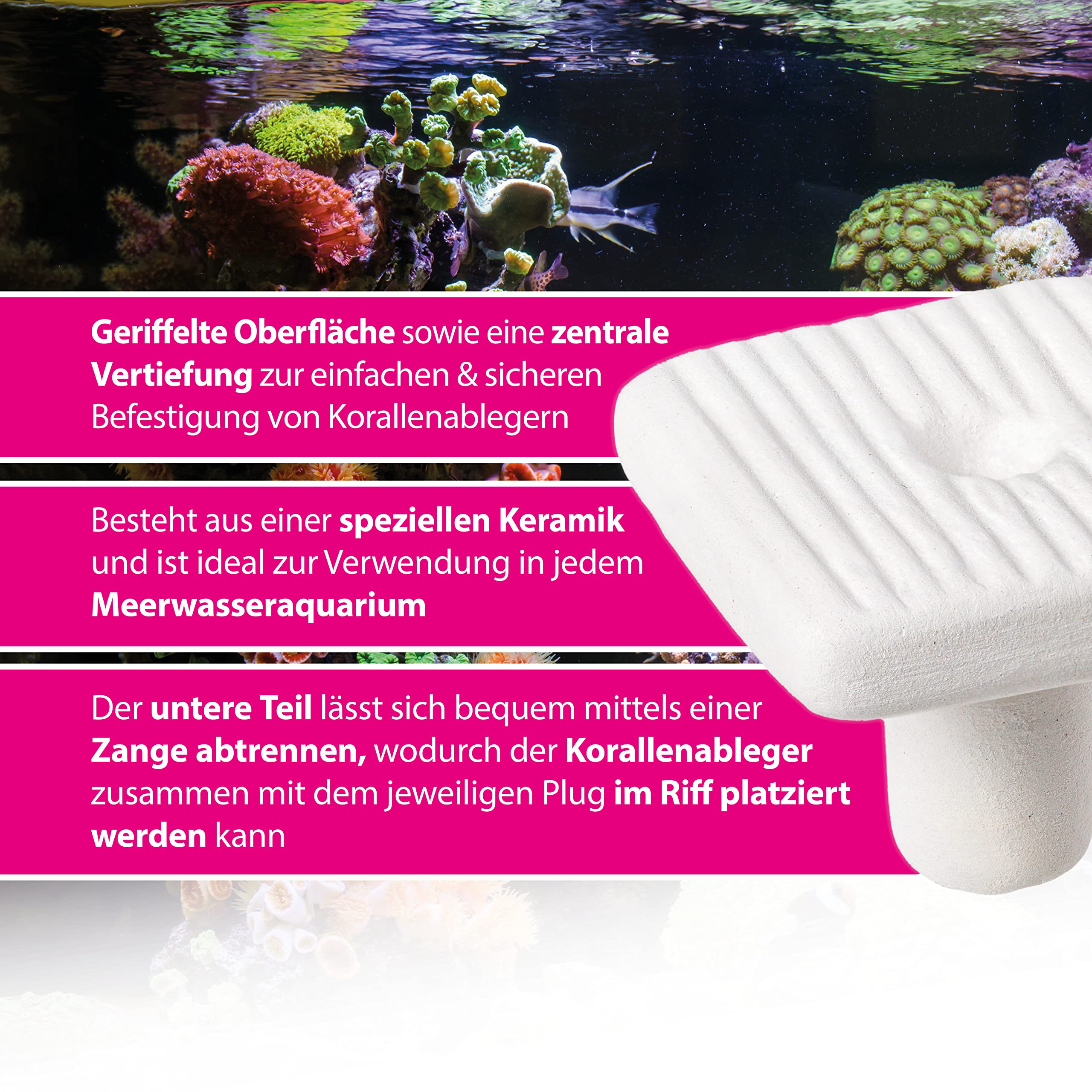 Arka myREEF-Plug | 27 mm | SQUARE | 12 pcs. | Ceramic stones for coral cuttings in any marine aquarium | Incl. slits for optimal holding | Easy to work with - Image 3