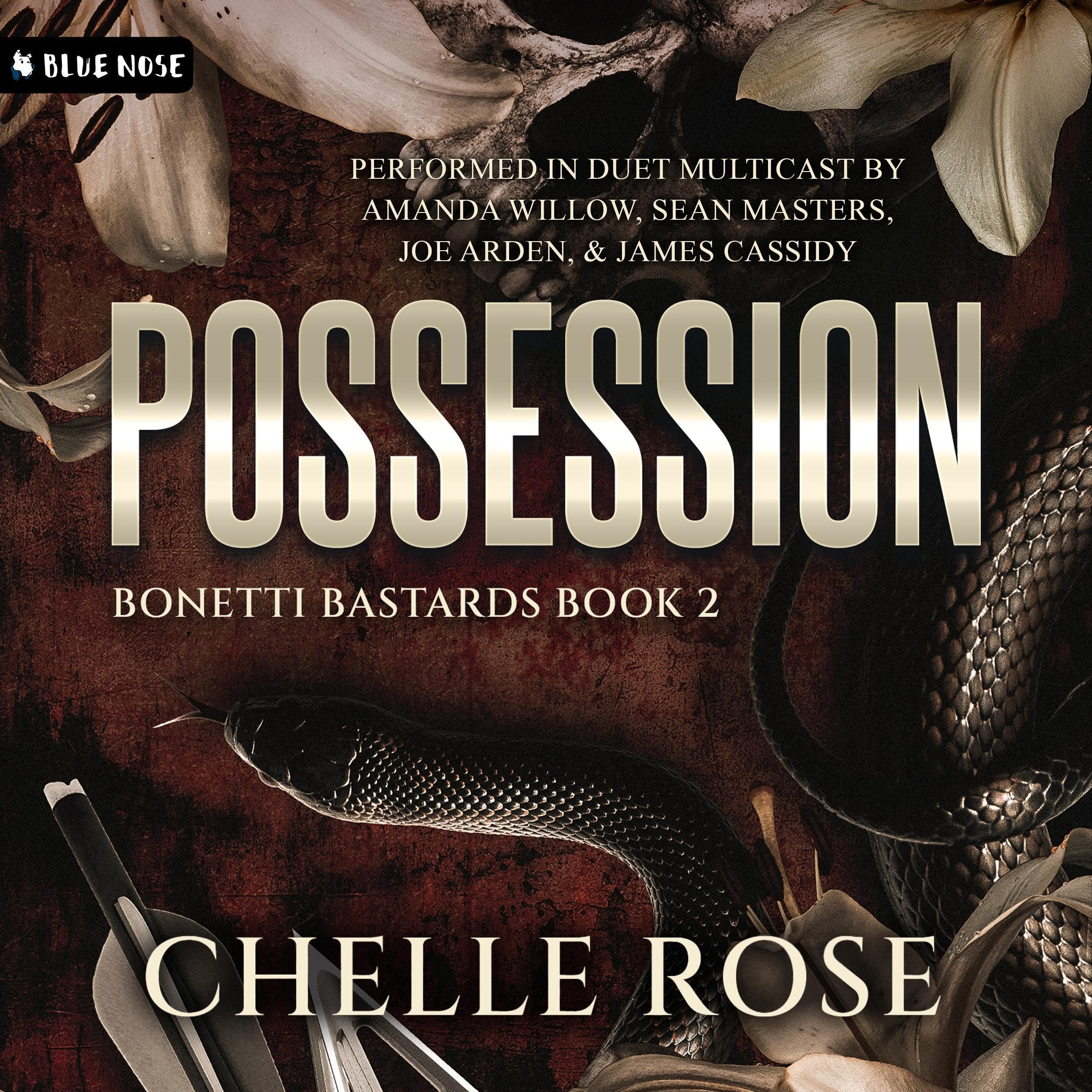 Cover art for Possession