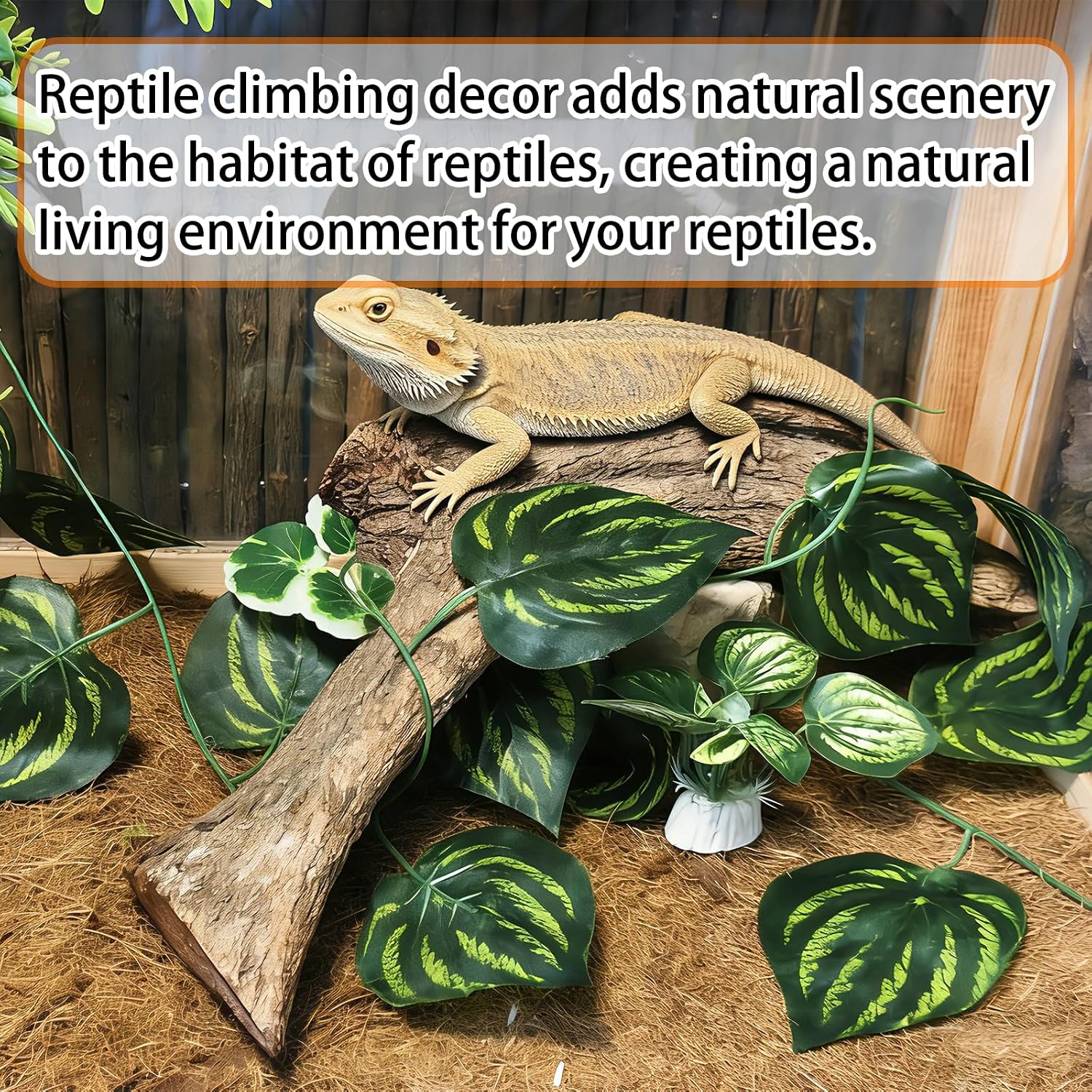 Tfwadmx Reptile Branches, Natural Reptile Corner Climbing Branch, Snake Climbing Branch Chameleon Cage Accessories Terrarium Plant Decoration for Gecko Snake Bearded Dragon (13 Inch)
