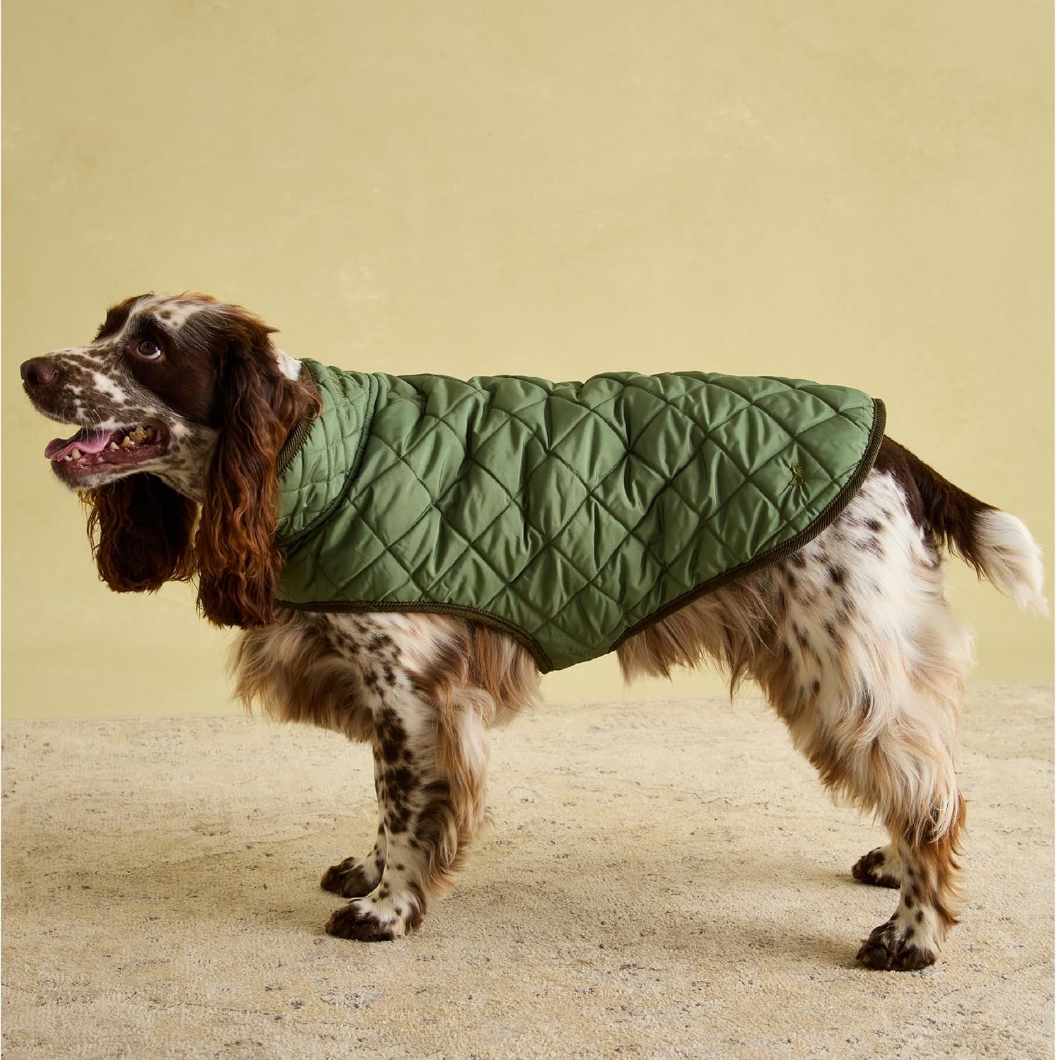 Rosewood x Joules Khaki Quilted Coat for Dogs, Large, Washable, Lightweight, Warm Winter Dog Jacket for Large Dogs