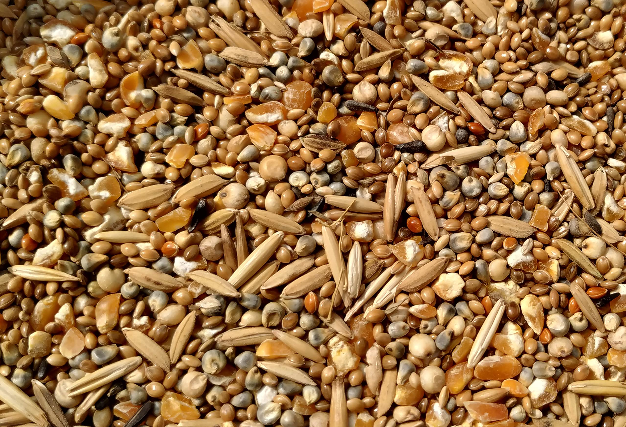 GLOBAL GREEN - 9 Type of Bird Seeds Special Mixed Best for Breeding time use for Budgies, Java, Munias and Sparrow Birds, 100% Organic (3-kg)