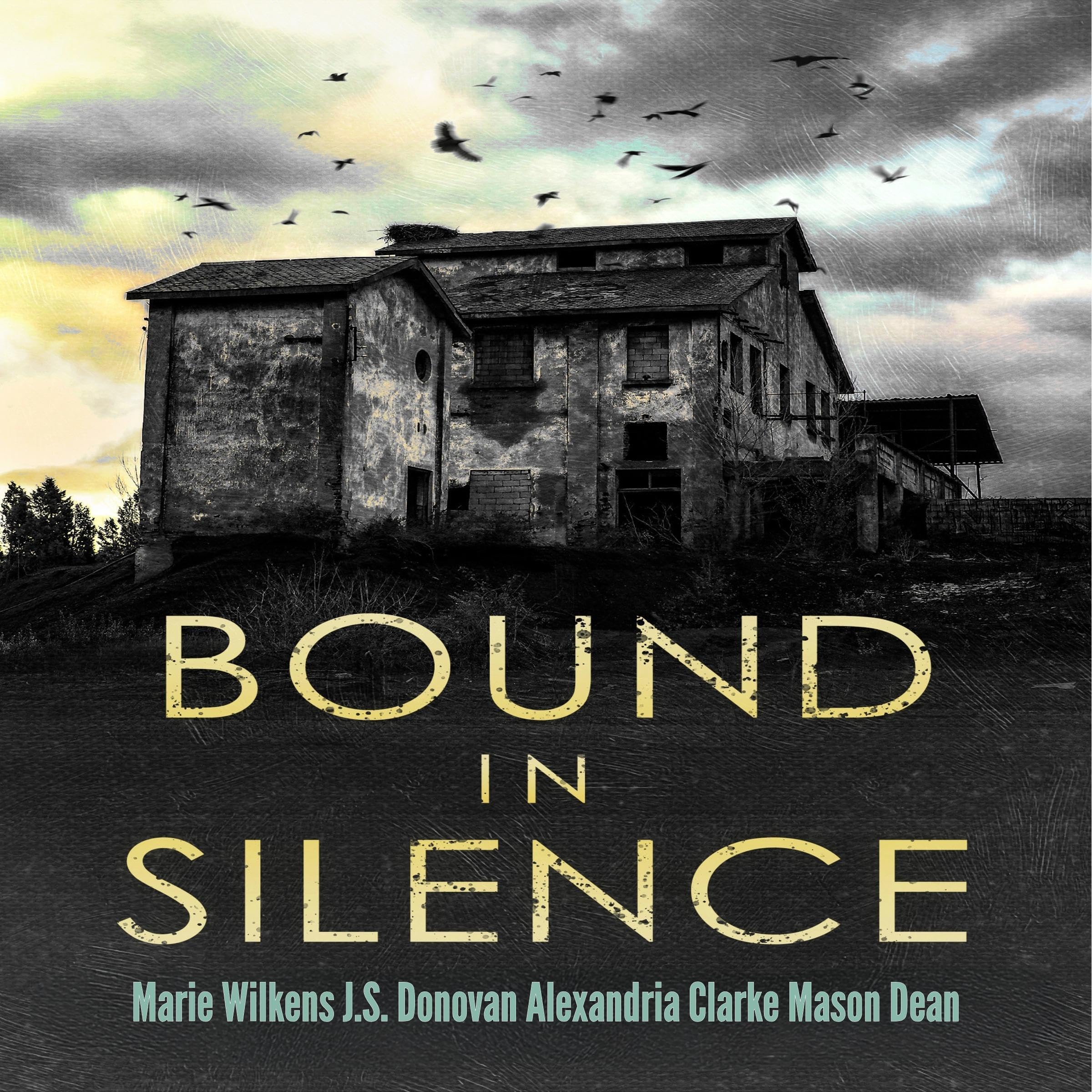Bound in Silence: A Small Town Riveting Kidnapping Mystery Thriller Boxset
