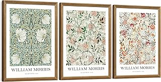 FWAHREN William Morris Framed Canvas Wall Art Set, 3 Piece Vintage Botan...