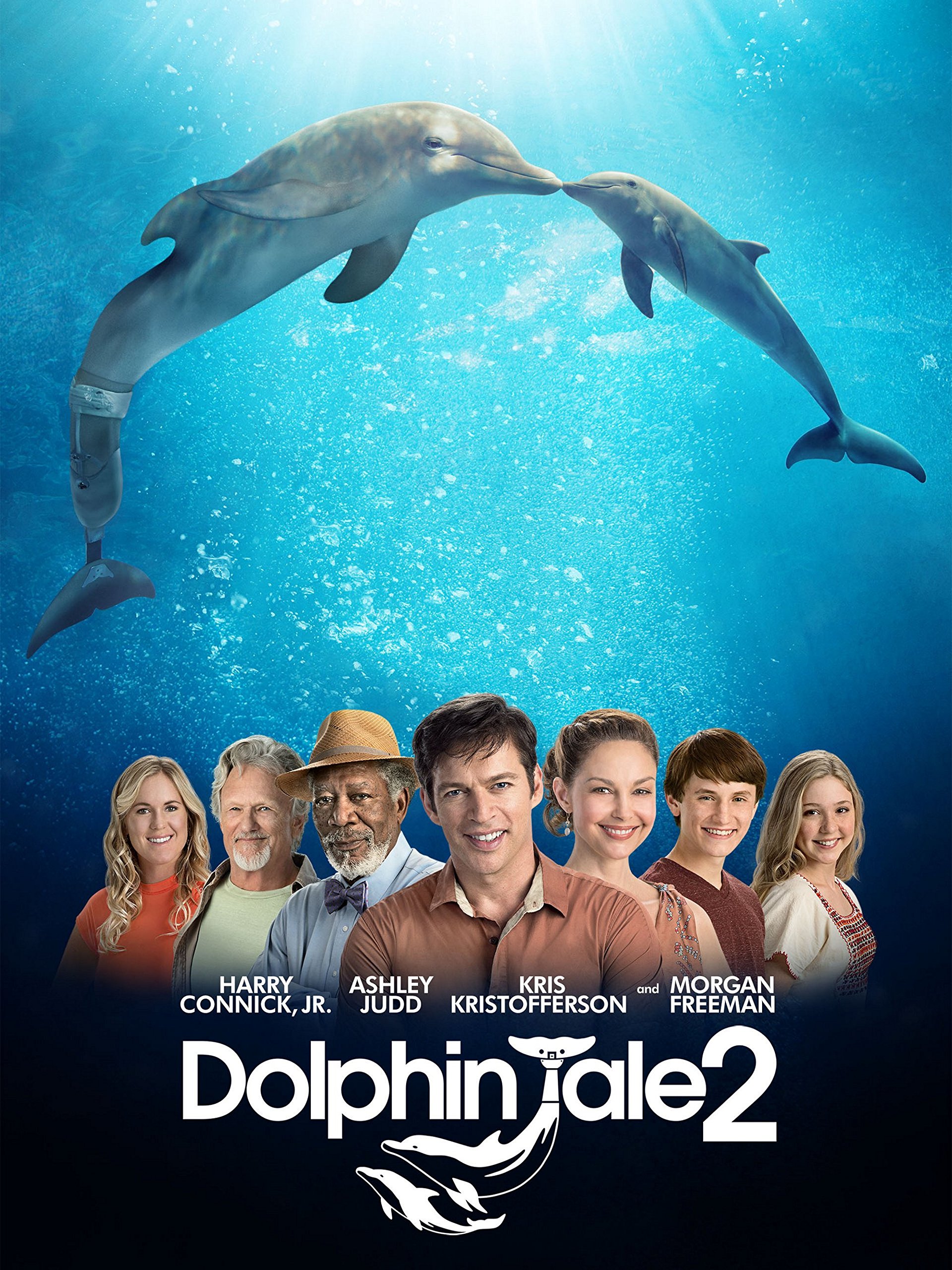 Dolphin Tale 2