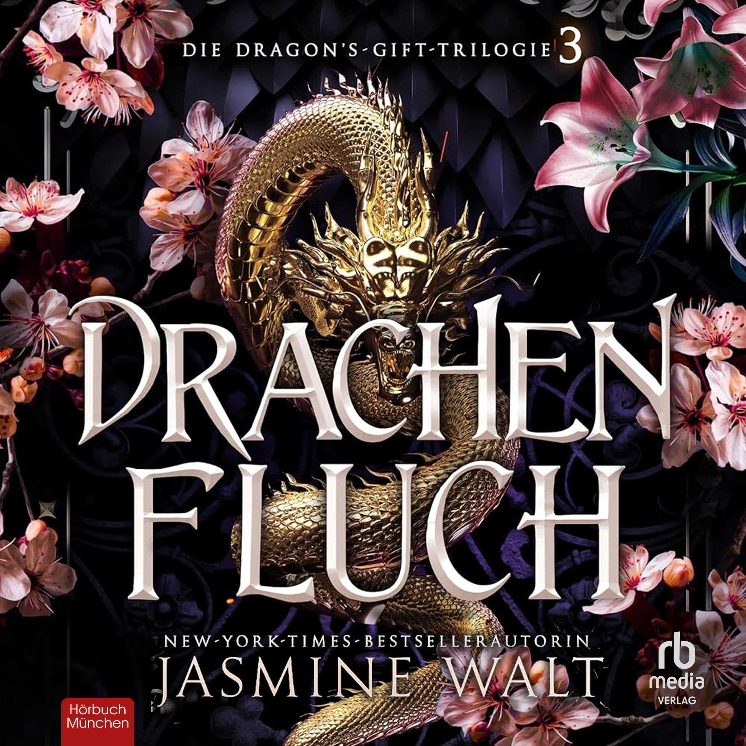 Cover art for Drachenfluch