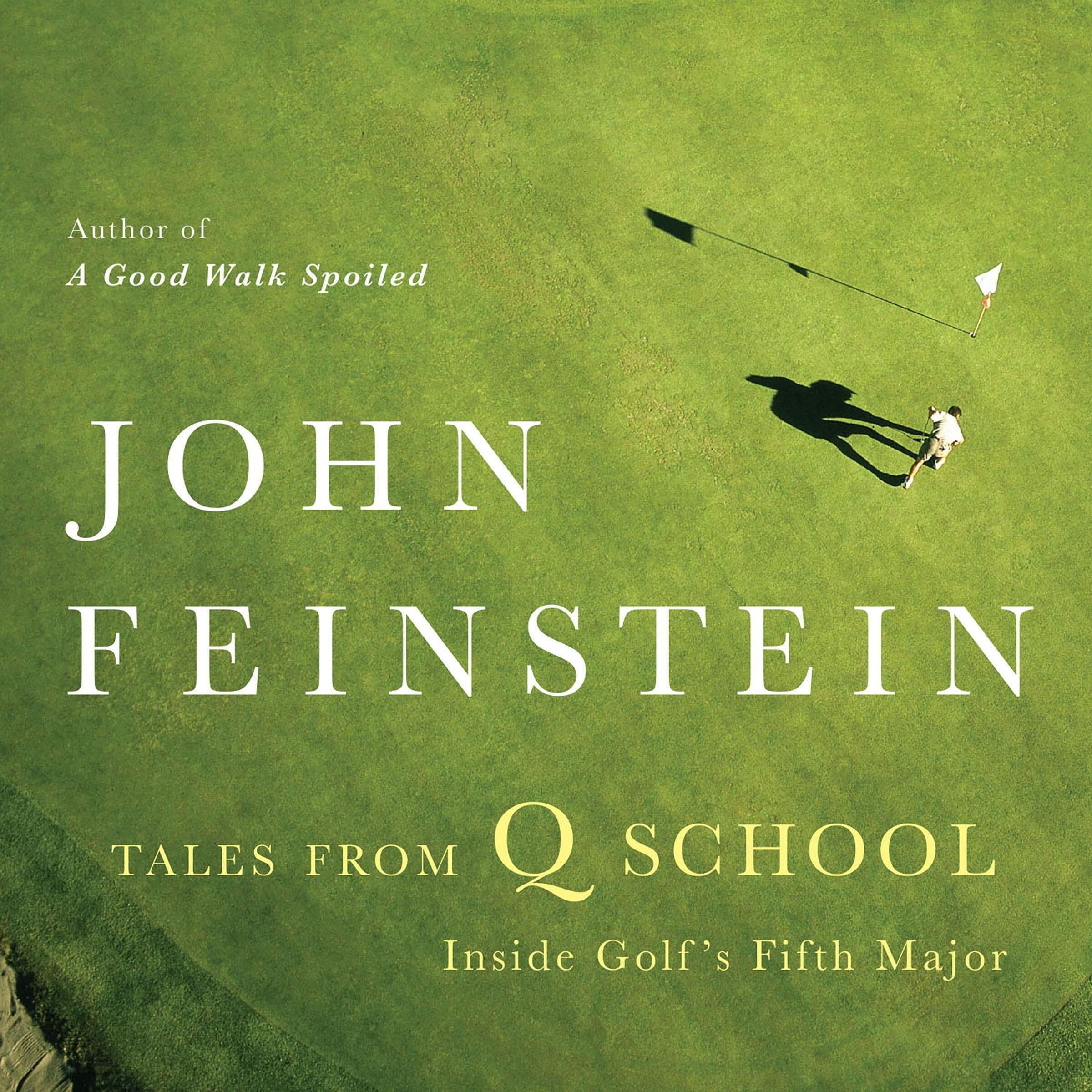 Cover art for Tales from Q School