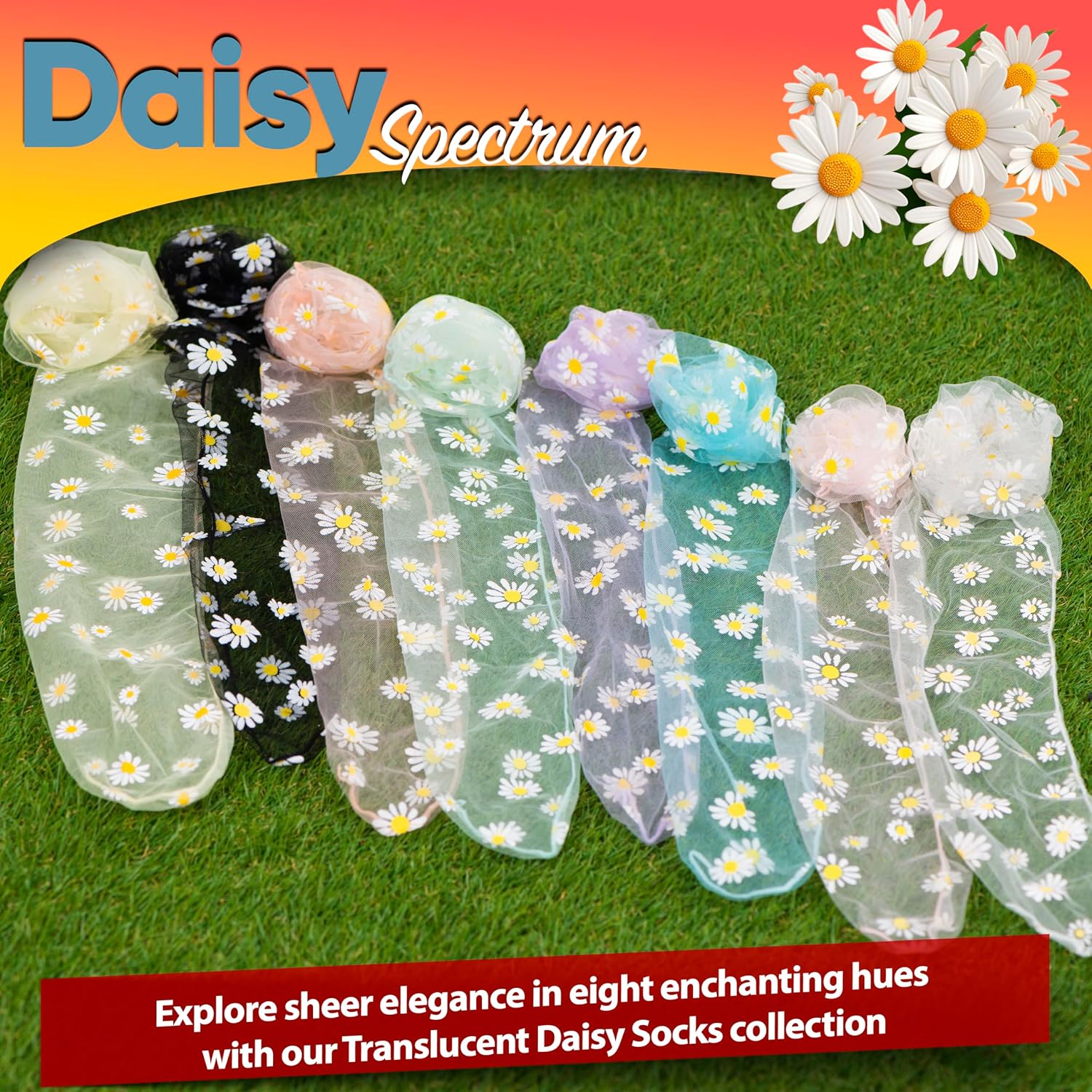 Translucent Daisy Socks Women Fashion Sheer Socks | See Through Mesh Socks for Women | Floral Tulle Set of 8 Pairs in Assorted Colors, Spring Style (US sizes 5-8)