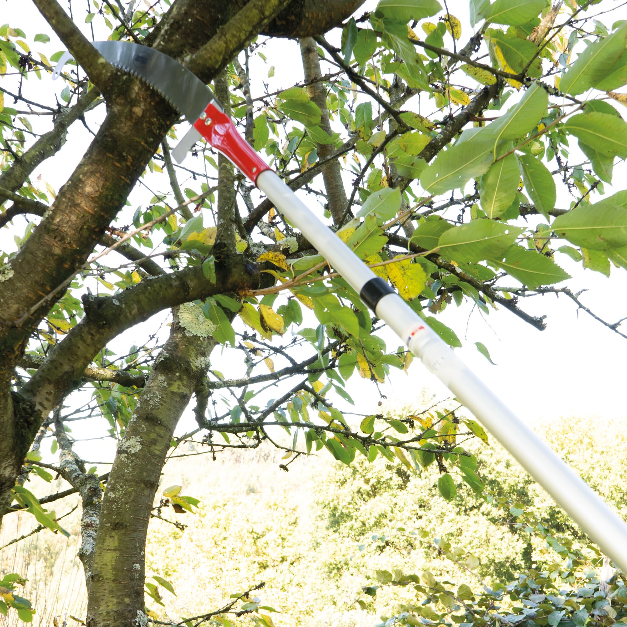 Amig - Perche Télescopique en Aluminium Léger, Barre Extensible jusqu'à 3 Mètres, Perche pour Couper, Scier et Élaguer en Hauteur, Outil de Jardinage pour Scies et Cisailles d'Élagage