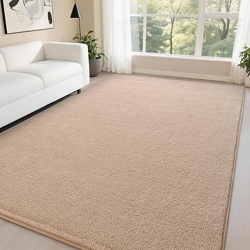 DweIke Alfombras de área beige de 5 x 7 pulgadas para dormitorio, alfombra de sala de estar, alfombra de espuma viscoelástica gruesa, alfombras