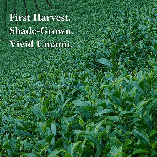 Miniatura 3 de TSUJIRI Matcha - Uzu no Shiro (1.06 onzas) - Polvo de matcha de grado ceremonial - Auténtico té verde matcha japonés de primera cosecha - Uji