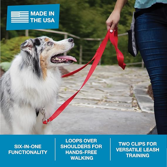 Blue-9 Hands Free Dog Leash, 6 ft Adjustable Lead, 2 Attachment, Black, S/M