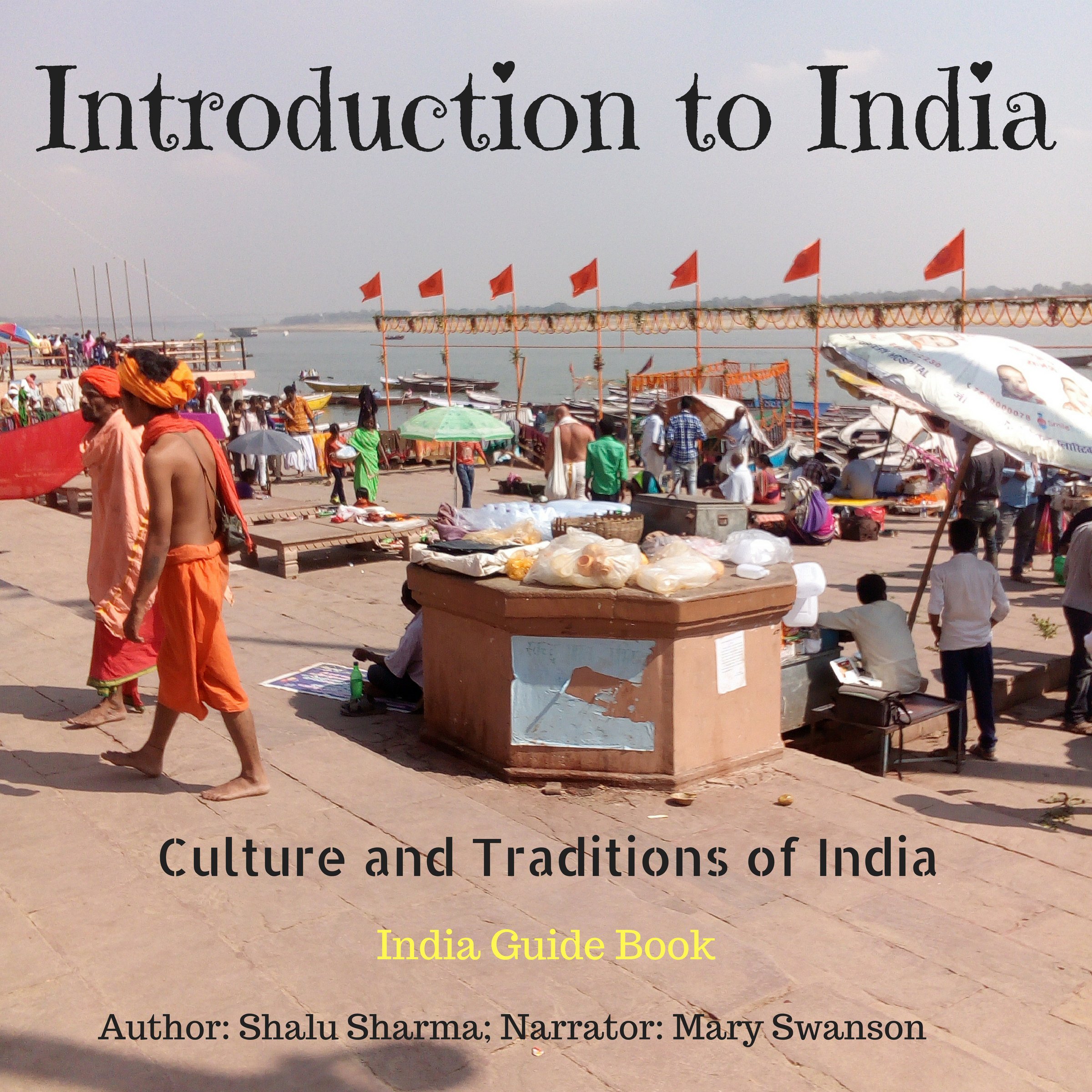 Cover art for Introduction to India