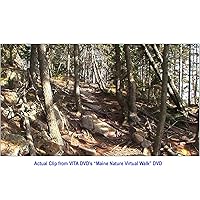 Vista 7 de Maine Nature Walk Treadmill Scenery DVD