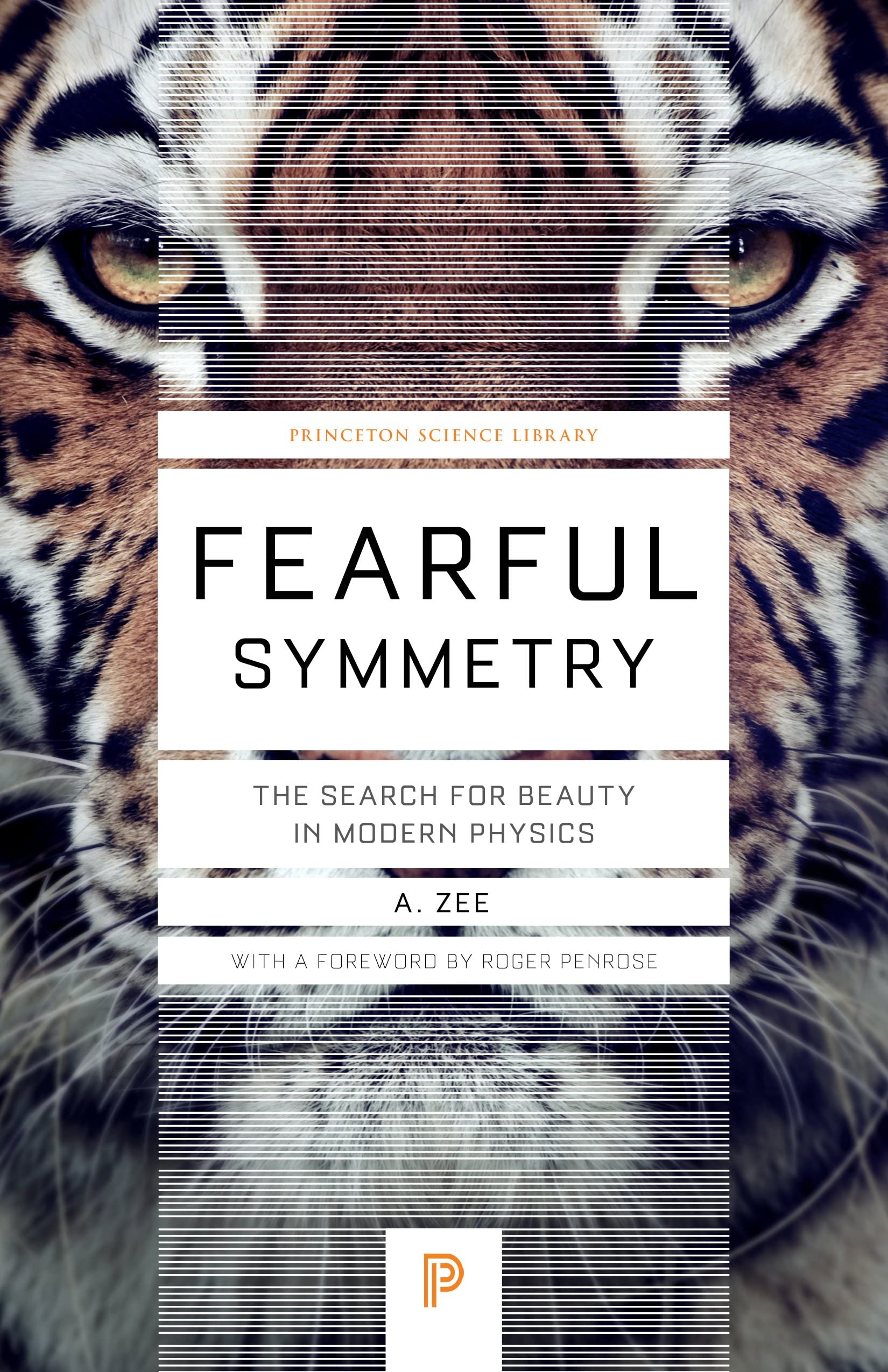 Fearful Symmetry by A. Zee PAPERBACK 9780691173269