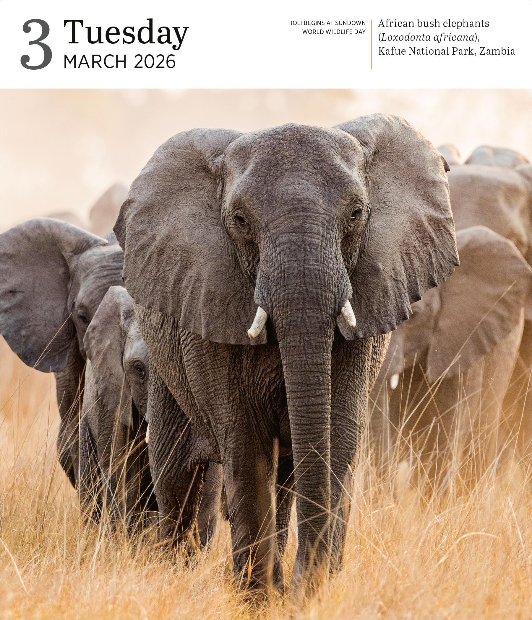 Audubon Nature Page-A-Day® Gallery Calendar 2026