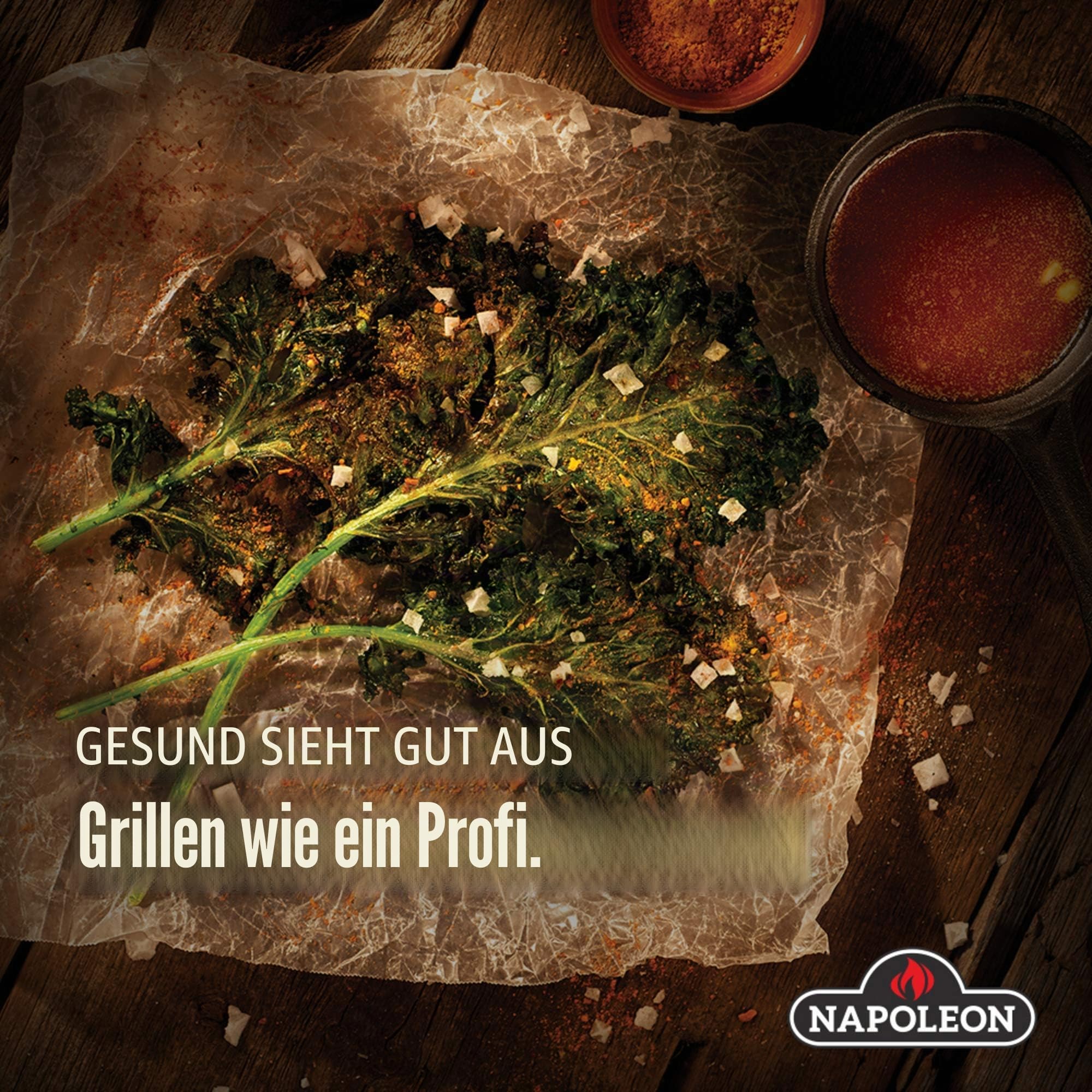 Napoleon Gussplatte beschichtet glatt zu Travel Q 285 Serie