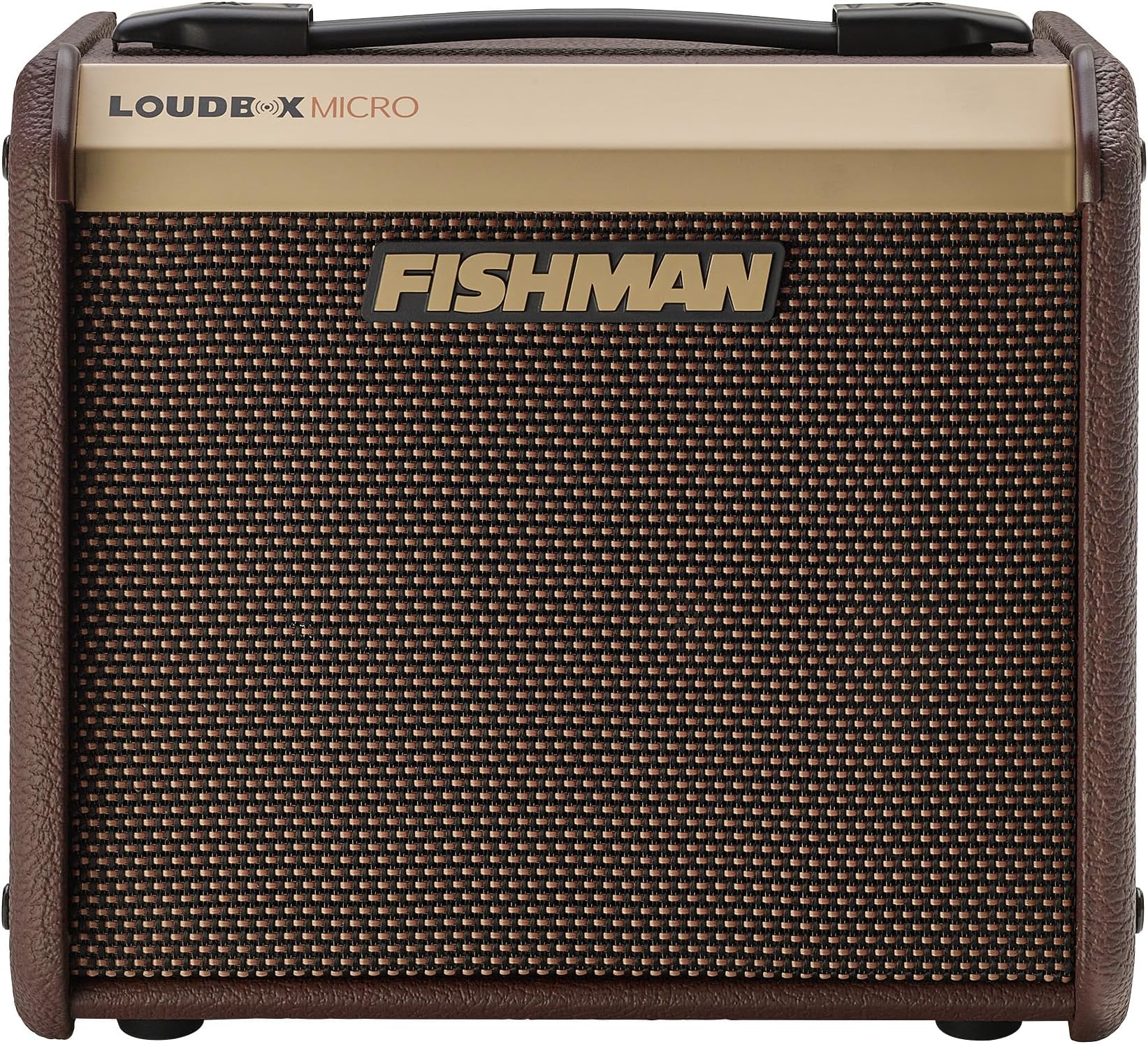 Loudbox Micro 40-watt 1 x 5.25-inch Acoustic Combo Amp