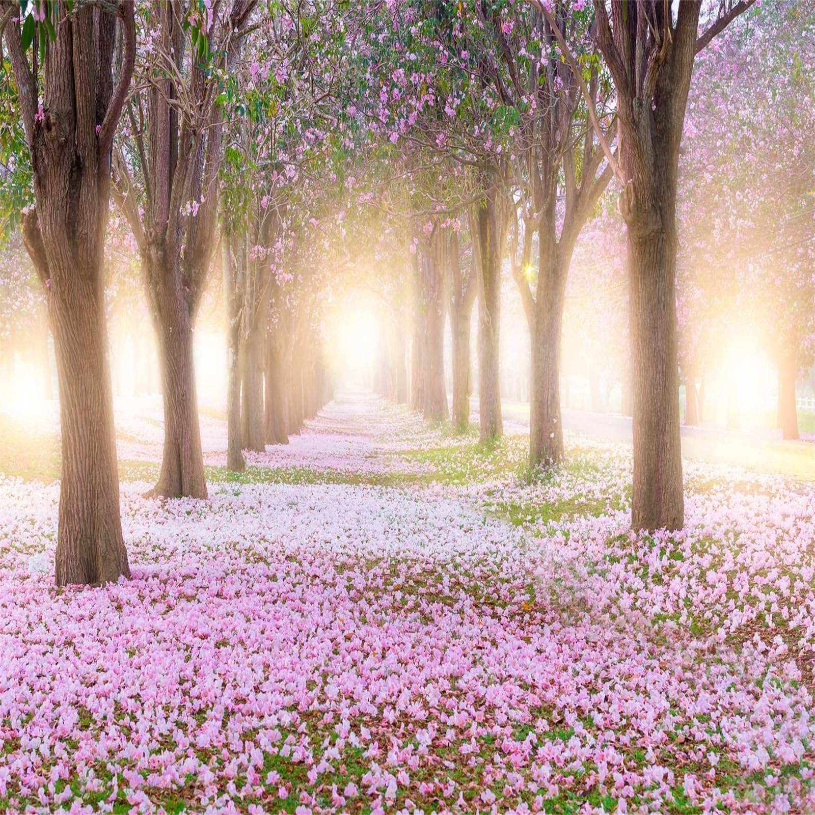 Amazon.com: Sunshine Lavender Wall Mural, Nature View Trees