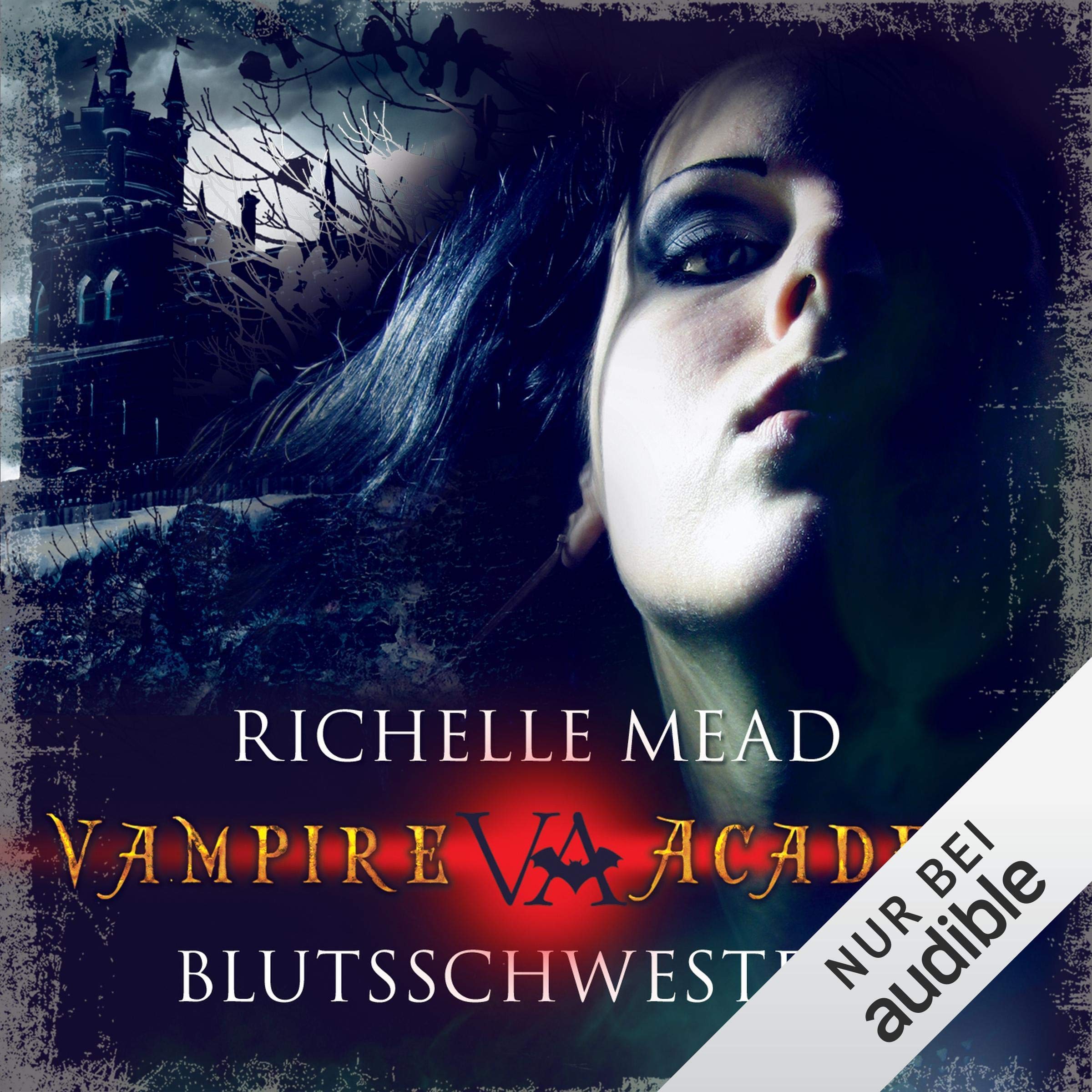 Cover art for Blutsschwestern