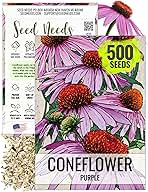 Seed Needs Coneflower Seeds for Planting Purple Echinacea Coneflowers - Heirloom & Open Pollinated Perennial Medicinal Flower - Perfect Wildflowers for a Butterfly Garden (1 Pack (500 Seeds))