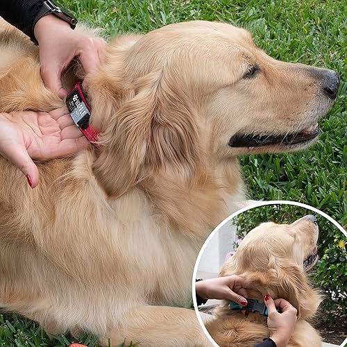 Miniatura 8 de Collares de perro personalizados con placa de identificación de metal grabada para nombre y texto de 3 líneas, 20 iconos personalizables, 4 tamaños