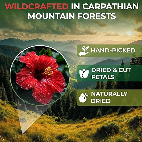 Miniatura 2 de 100 bolsas de té de flores secas de hibisco de hierbas Flor De Jamaica (Hibiscus)  100 bolsas de té de 0.05 oz (1.5 g) de flores secas secas hierba