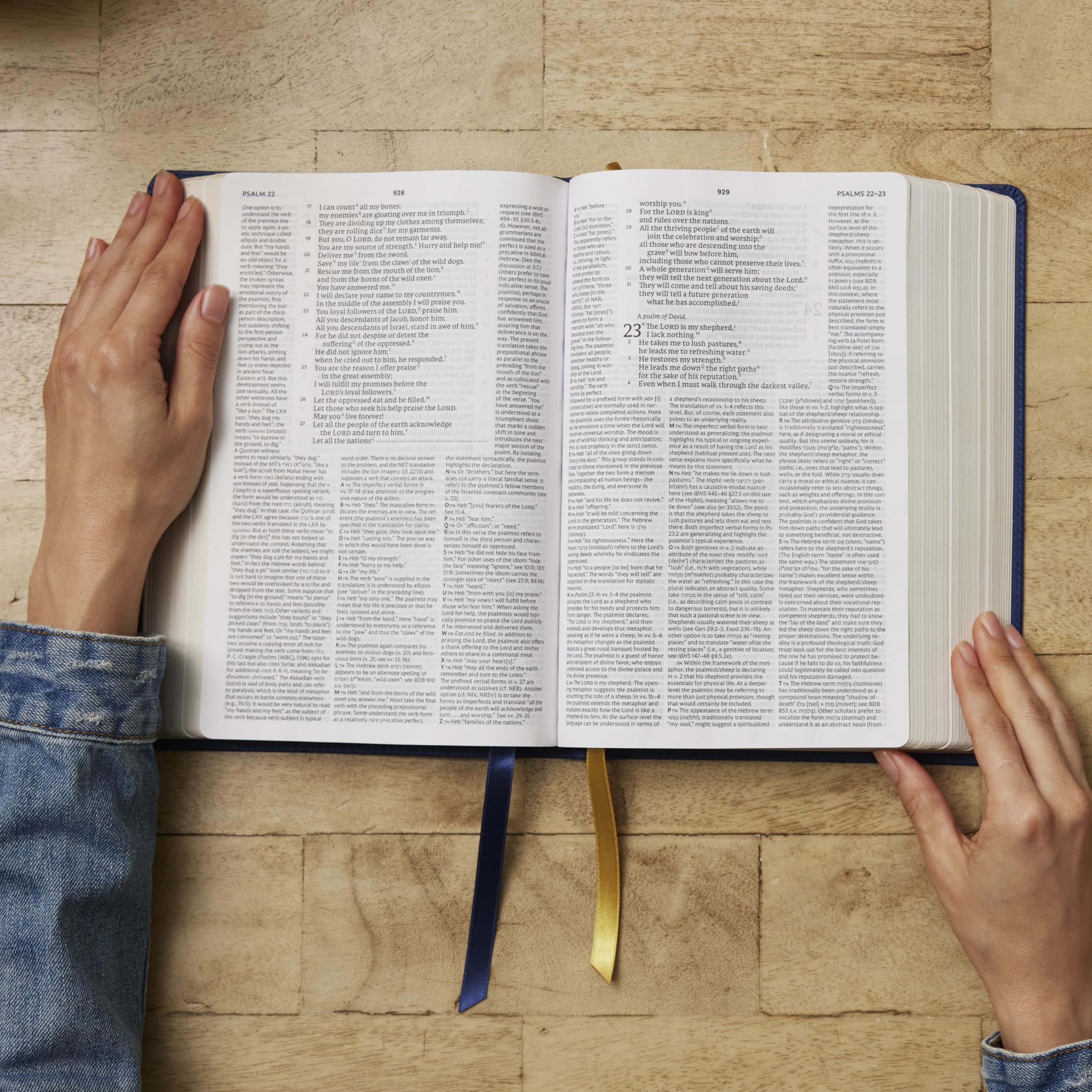 Net Bible, Full Notes Edition (Net, Blue Leathersoft, Comfort Print): Holy Bible